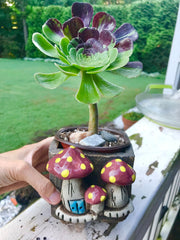 Unique one of a kind Handmade Clay planter for succulents. Plant is NOT included