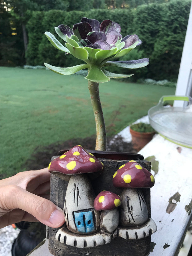 Unique one of a kind Handmade Clay planter for succulents. Plant is NOT included