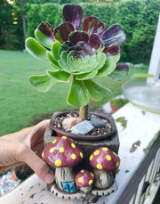 Unique one of a kind Handmade Clay planter for succulents. Plant is NOT included