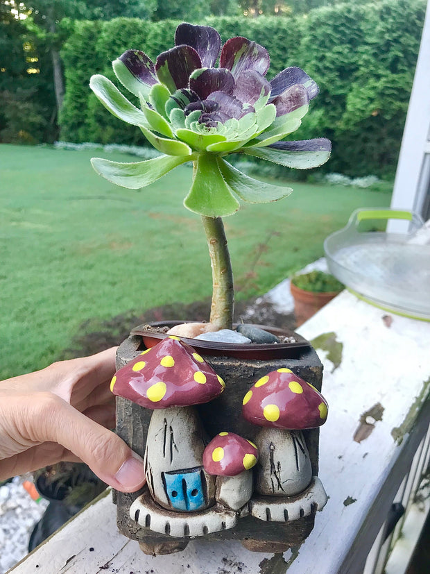 Unique one of a kind Handmade Clay planter for succulents. Plant is NOT included