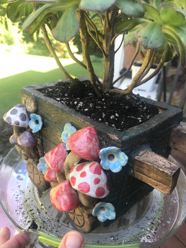 Premium Unique one of a kind Hand Made Clay planter with drainage hole for succulents. Plant sold separately